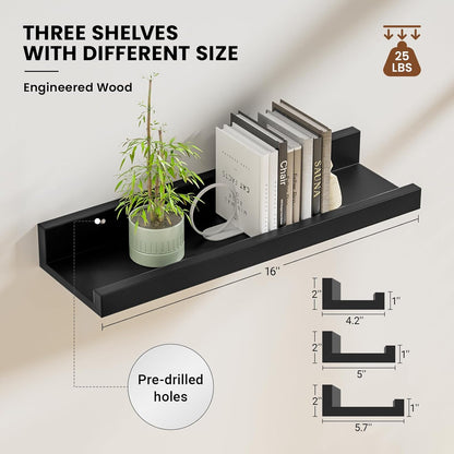 ShelfLoft 5.7"D x 2"H Black Picture Ledge Shelf Floating Shelves,3 Pack