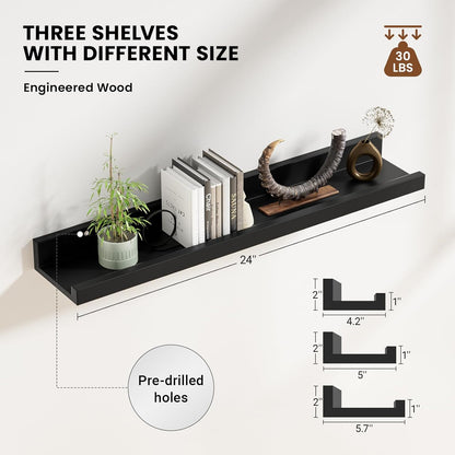 ShelfLoft 5.7 Inch Deep Picture Ledge Shelf Floating Shelves Set of 3