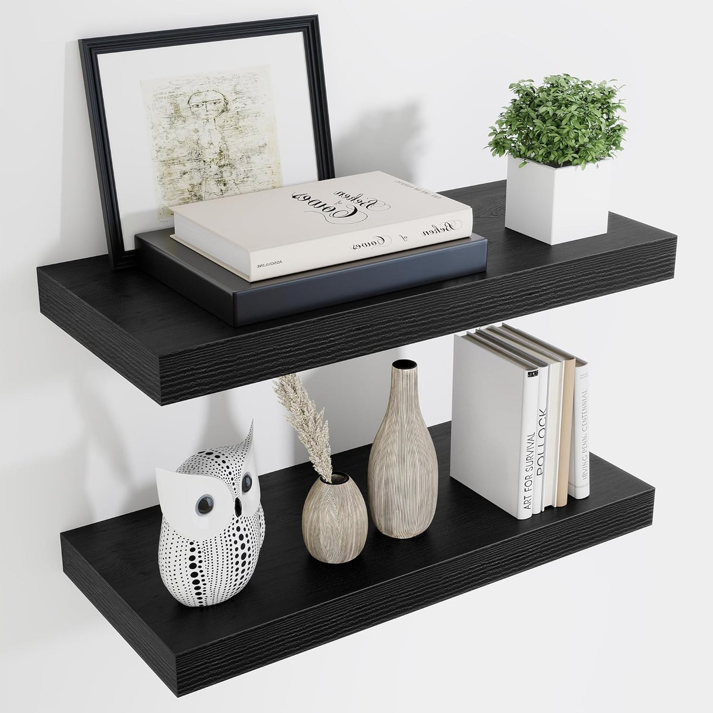 ShelfLoft 9 Inch Deep Floating Shelves for Wall Storage