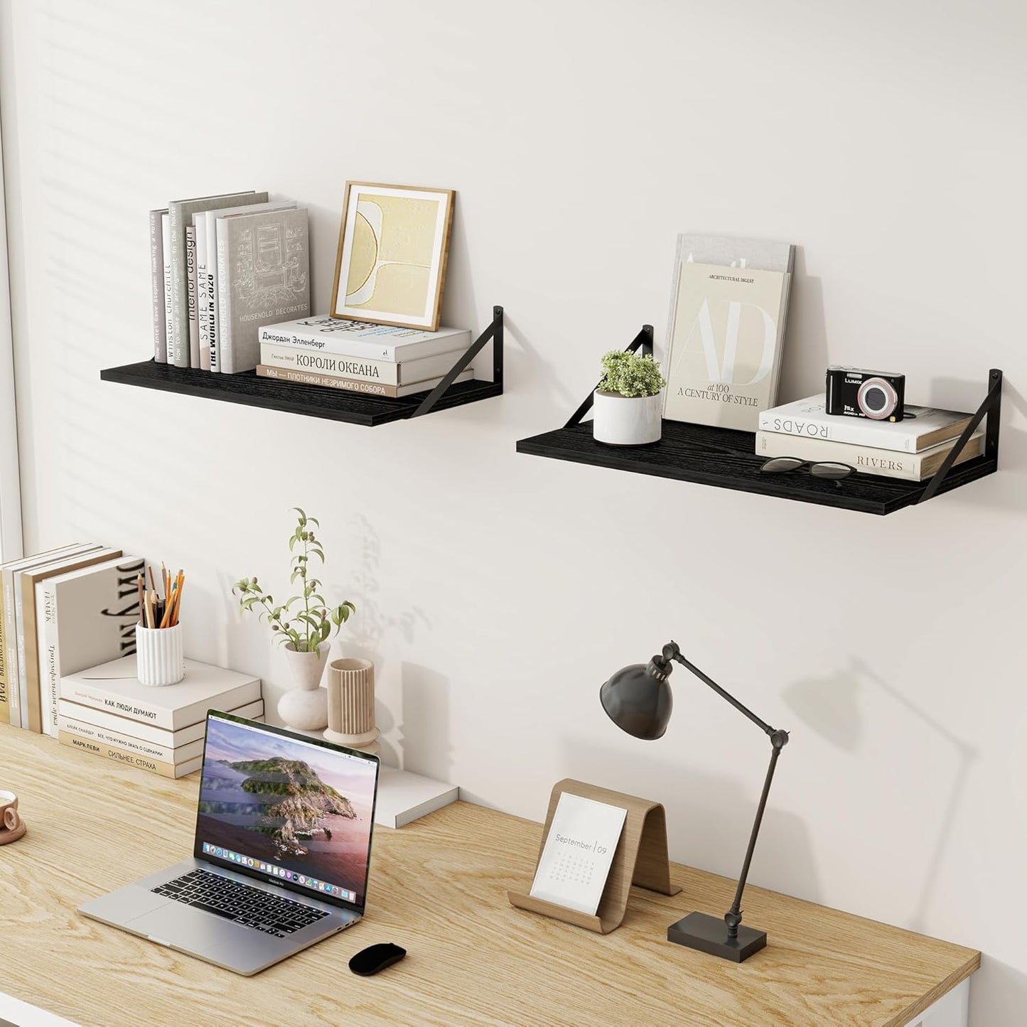 ShelfLoft 8 Inch Deep Floating Shelves for Wall