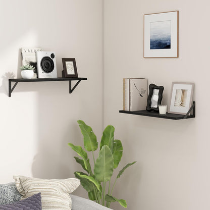 ShelfLoft 24" Wide x 8" Deep Floating Shelves with Brackets, Black-2 Pack