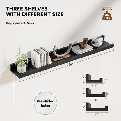 ShelfLoft 5.7 Inch Deep Picture Ledge Shelf Floating Shelves Set of 3