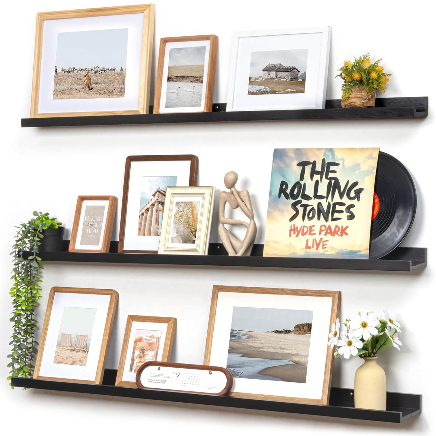 ShelfLoft 5.5"D x 2"H Black Pine Wood Picture Ledge Shelf Wall Shelves with Lip, 2 Pack