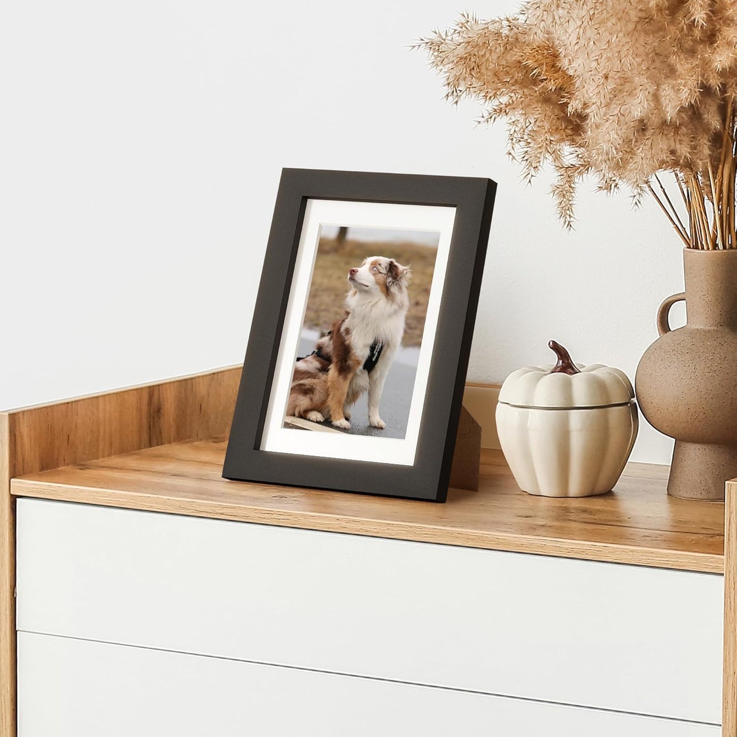 ShelfLoft Nature Solid Wood Photo Frames with Plexiglass