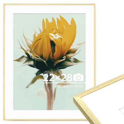 c 9 Sizes Thin Aluminum Metal Picture Frame with High Definition Plexiglass