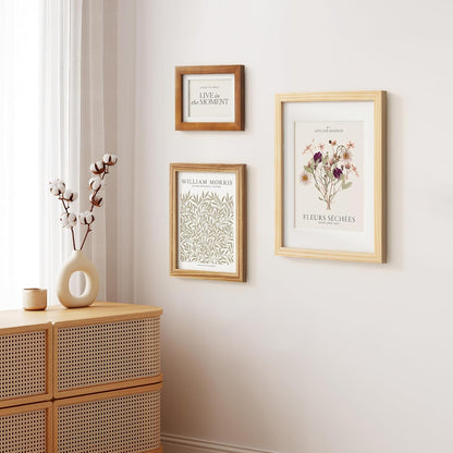 ShelfLoft Nature Solid Wood Photo Frames with Plexiglass