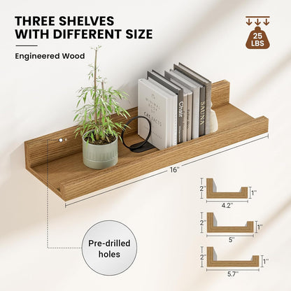 ShelfLoft 5.7"D x 2"H Natural Oak Picture Ledge Shelf Floating Shelves,3 Pack