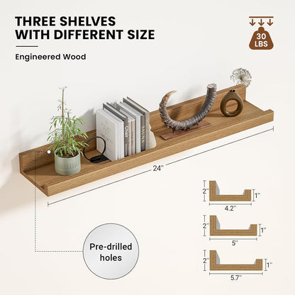 ShelfLoft 5.7"D x 2"H Natural Oak Picture Ledge Shelf Floating Shelves,3 Pack