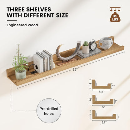 ShelfLoft 5.7"D x 2"H Natural Oak Picture Ledge Shelf Floating Shelves,3 Pack