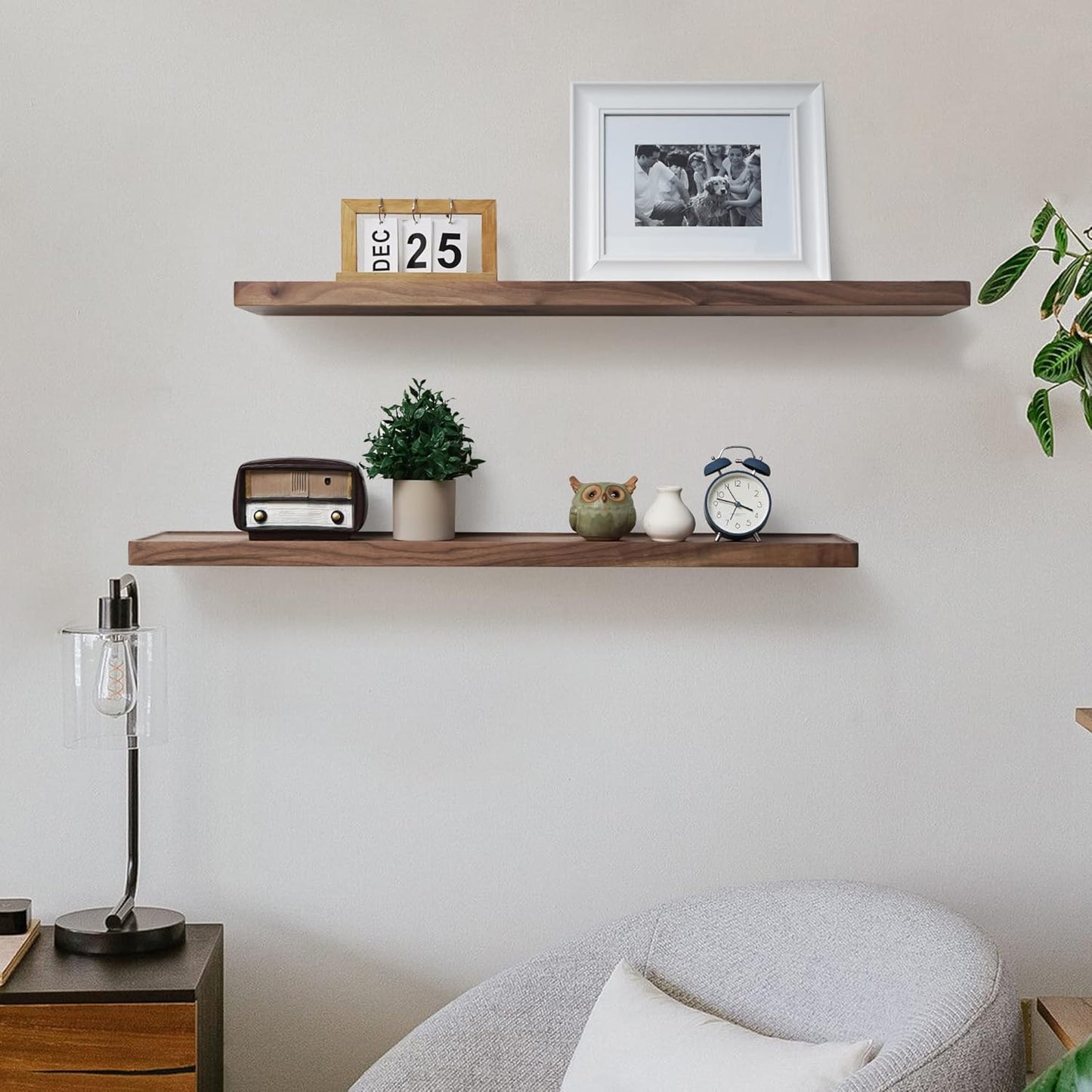 ShelfLoft 8 Inch Deep Solid Walnut Wood Floating Shelves, Set of 2