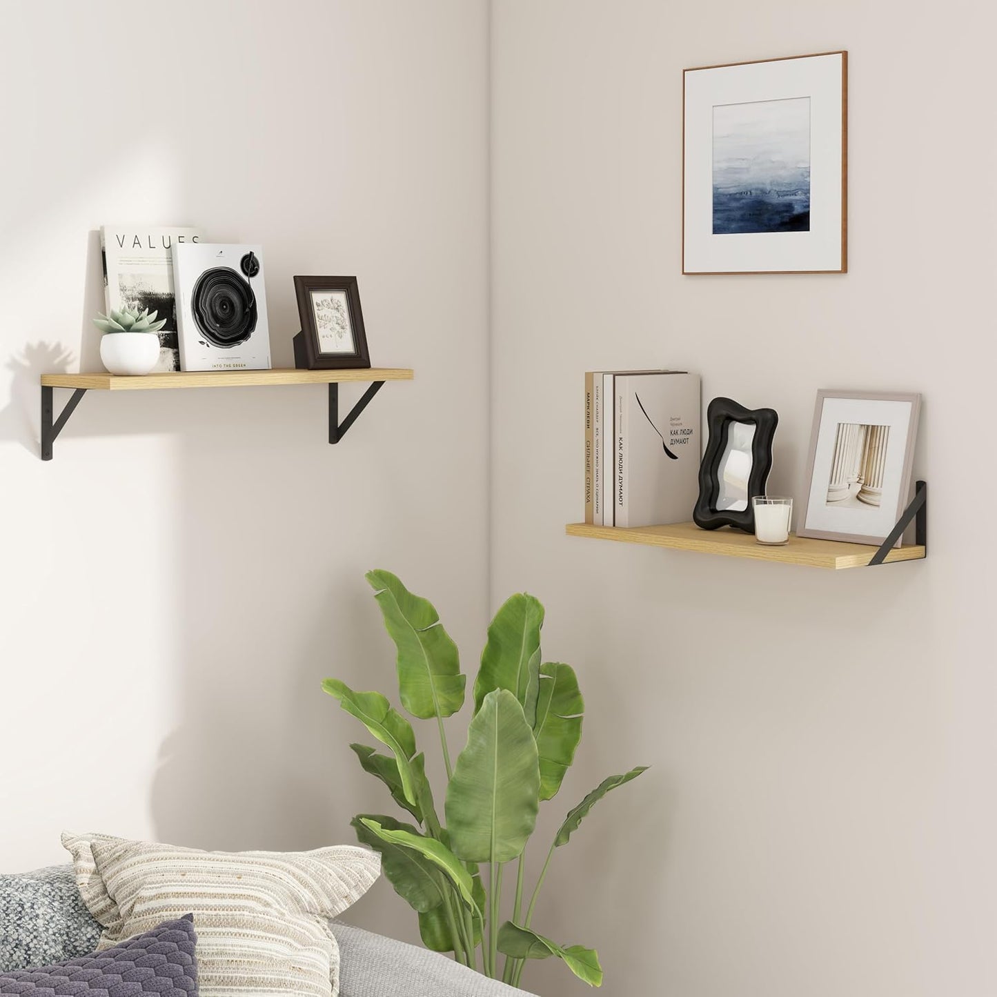 ShelfLoft 8 Inch Deep Floating Shelves for Wall