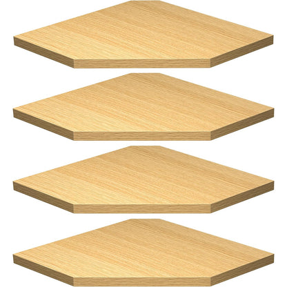 ShelfLoft Wall Mount Floating Corner Shelves