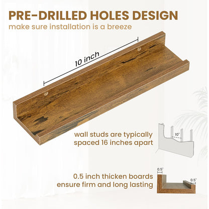 ShelfLoft 5.5"D x 2"H Rustic Brown Picture Ledge Shelf Wall Display Floating Shelves with Lip