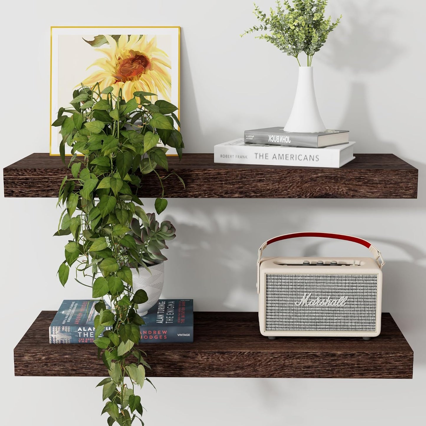 ShelfLoft 8"D x 1.6"H Rustic Brown Rustic Solid Wood Floating Shelves for Wall Storage