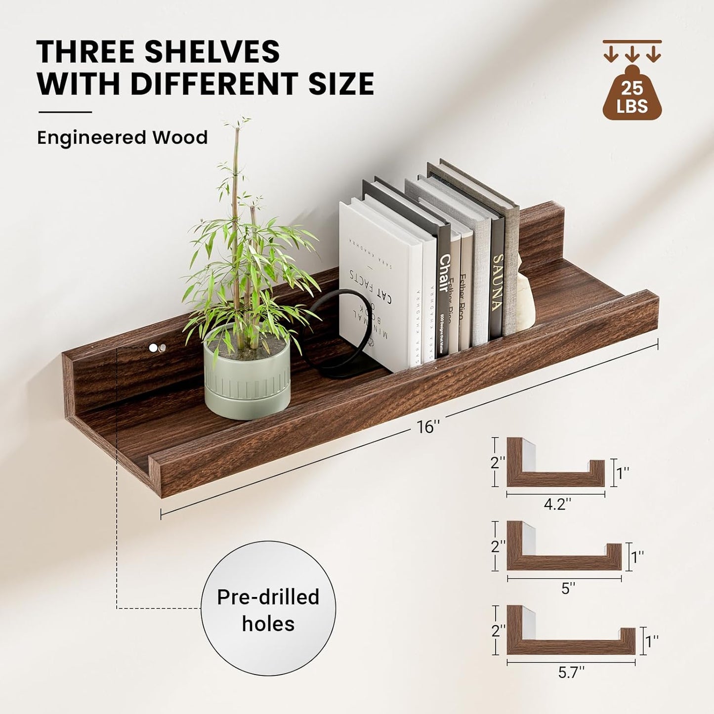 ShelfLoft 5.7"D x 2"H Walnut Picture Ledge Shelf Floating Shelves,3 Pack