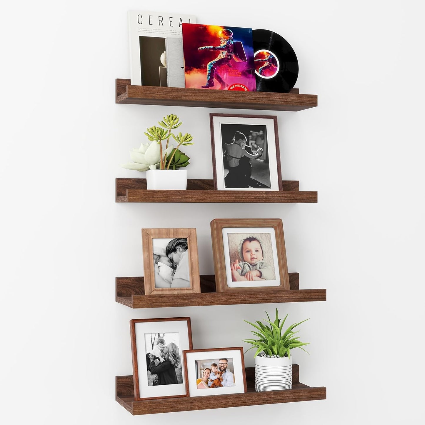 ShelfLoft 5.5"D x 2"H Walnut Picture Ledge Shelf Wall Display Floating Shelves with Lip