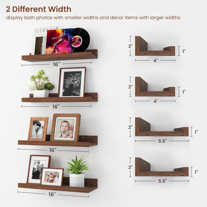 ShelfLoft 5.5"D x 2"H Walnut Picture Ledge Shelf Wall Display Floating Shelves with Lip