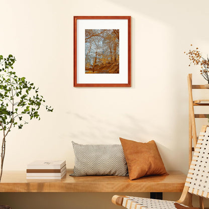 ShelfLoft Solid Pine Wood Picture Frame with Tempered Glass