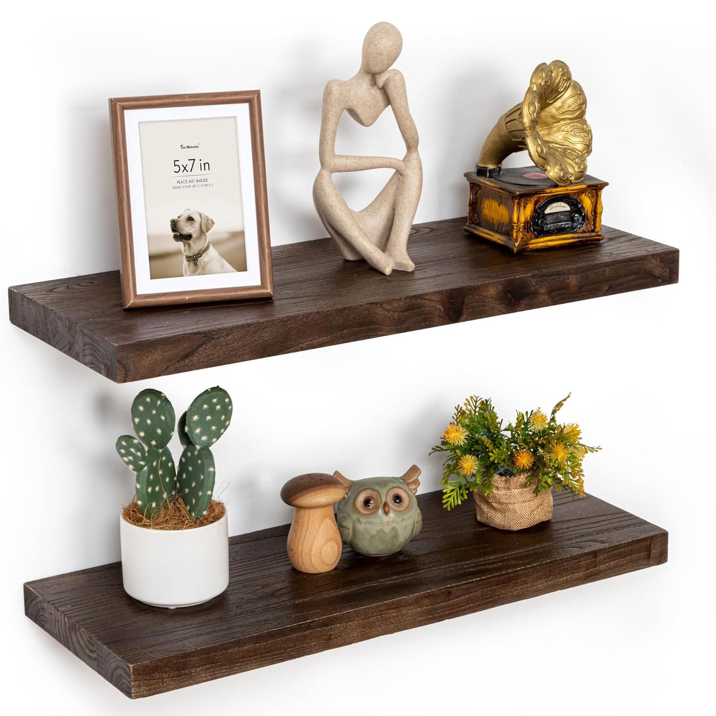 ShelfLoft 9.3"D x 1.4"H Walnut Reclaimed Old Elm Wood Floating Shelves for Wall Storage