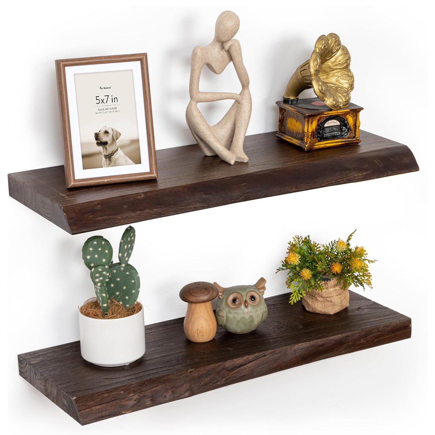 ShelfLoft 9.3"D x 1.4"H Walnut Reclaimed Old Elm Wood Floating Shelves for Wall Storage