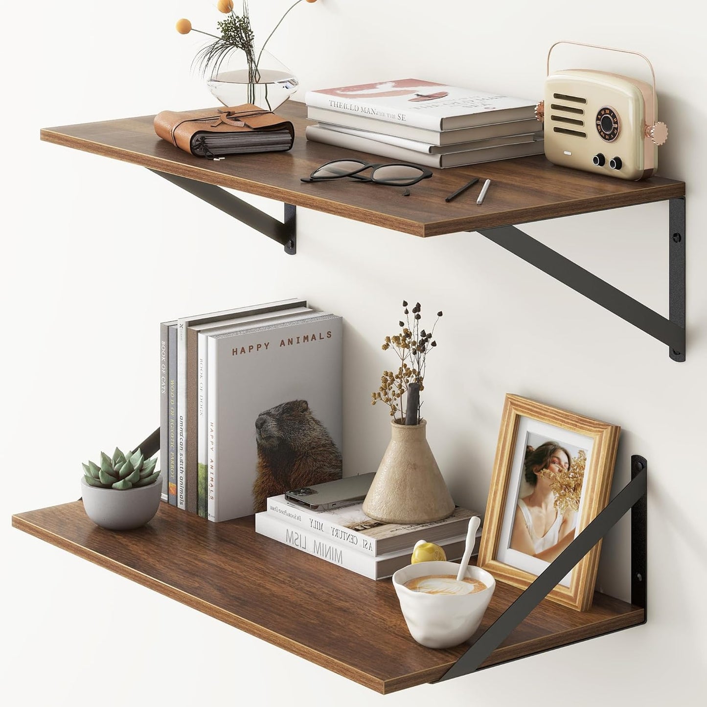 ShelfLoft 12 Inch Deep Wall Display&Storage Floating Shelves with Visible Brackets