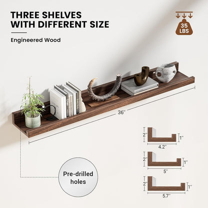 ShelfLoft 5.7"D x 2"H Walnut Picture Ledge Shelf Floating Shelves,3 Pack