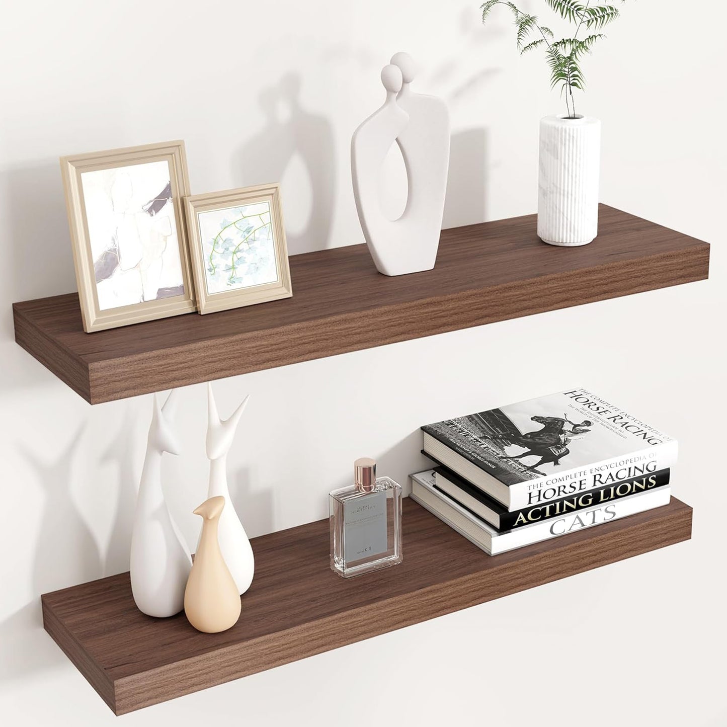 ShelfLoft 9 Inch Deep Floating Shelves for Wall Storage