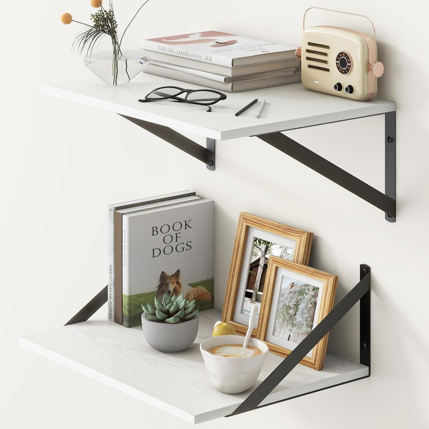 ShelfLoft 12 Inch Deep Wall Display&Storage Floating Shelves with Visible Brackets