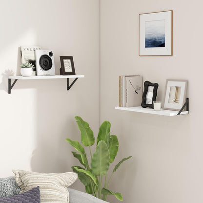 ShelfLoft 8 Inch Deep Floating Shelves for Wall