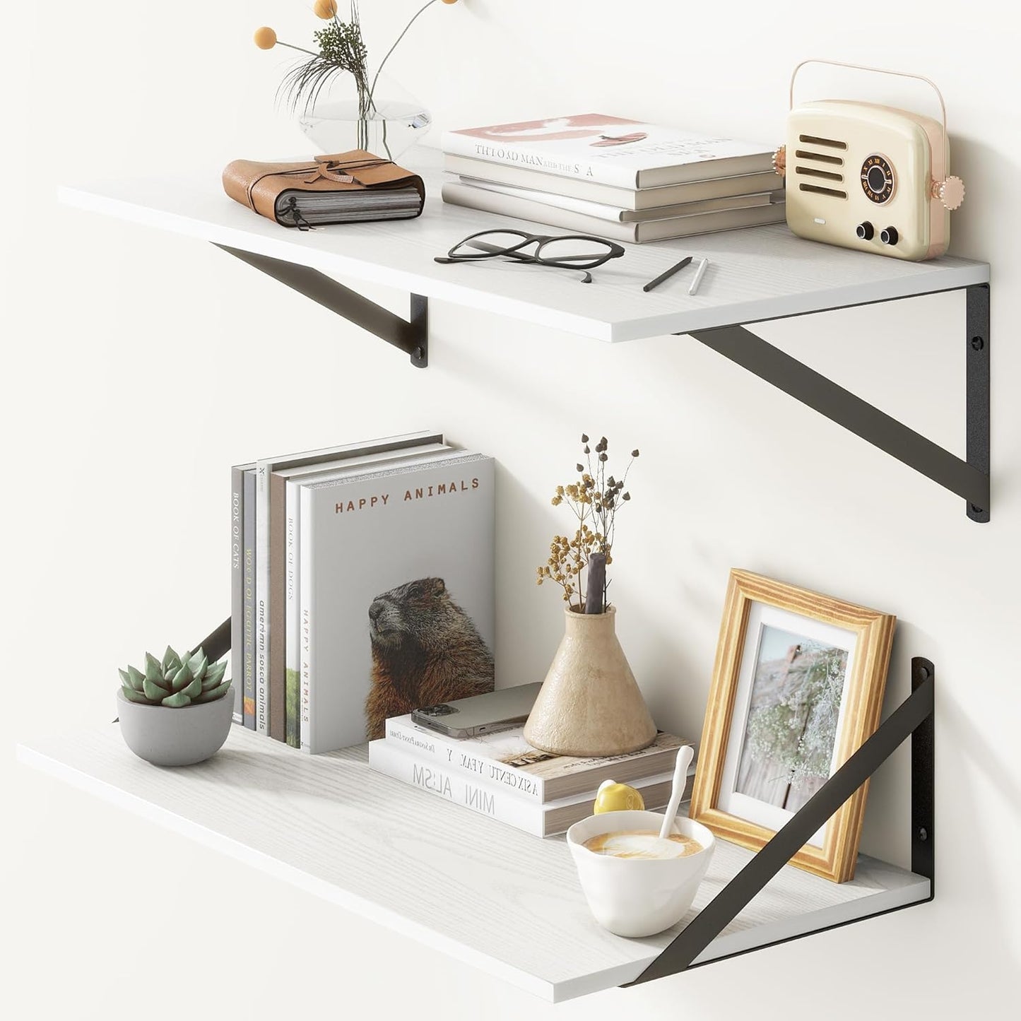 ShelfLoft 12 Inch Deep Wall Display&Storage Floating Shelves with Visible Brackets